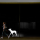 Illustration for article titled The Desperate Puppy in the Window, Digitized